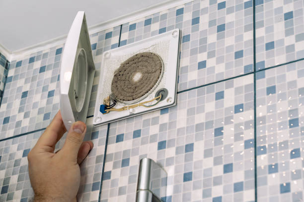 Best Air Duct Sanitizing Services  in Glenwood, IL